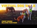 [NO ADS] TV for Dogs 🌲 Dog Walking in the Forest with Nature Sounds 🐕 Relaxing Music for Dogs