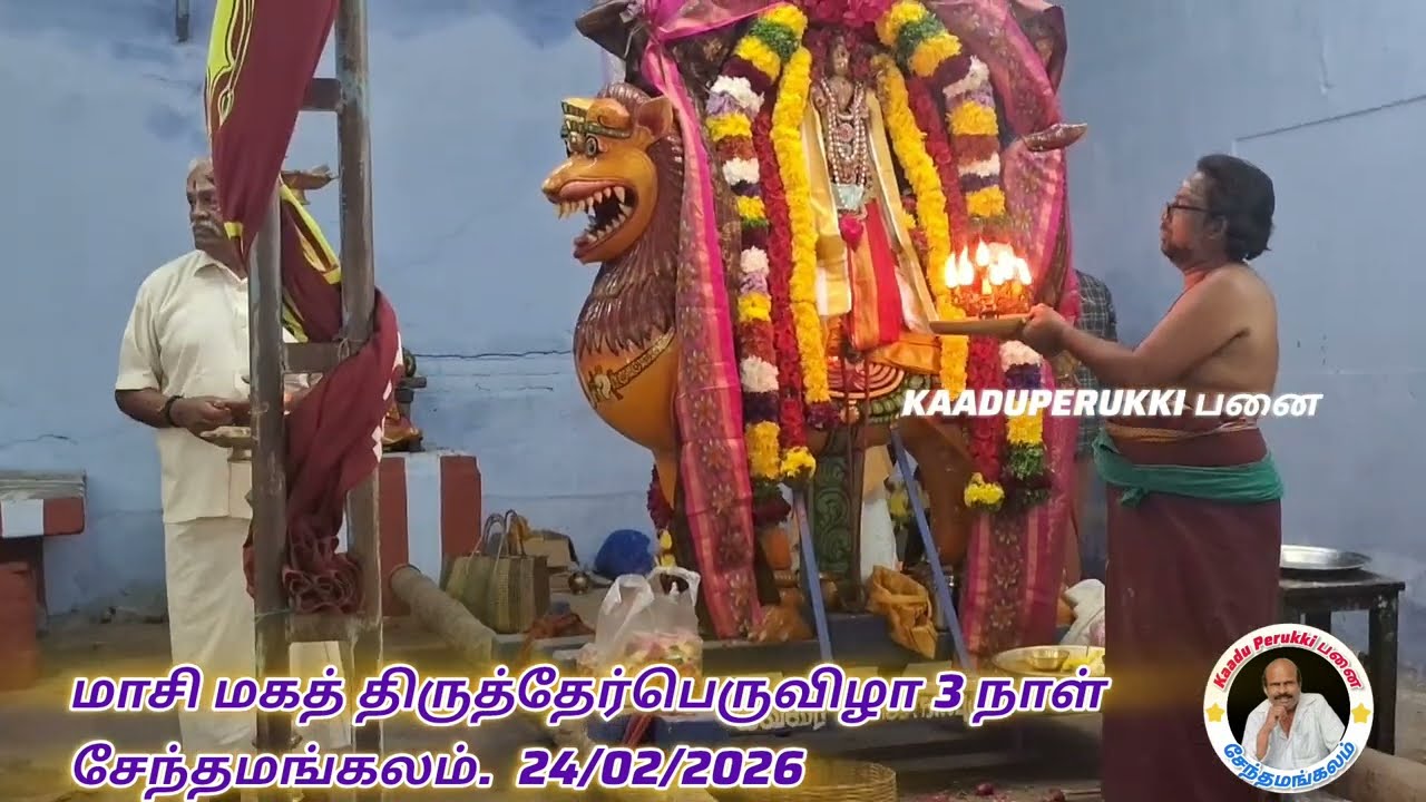  மாசி மக#திருத்தேர் #பெருவிழா# 3 நாள்#