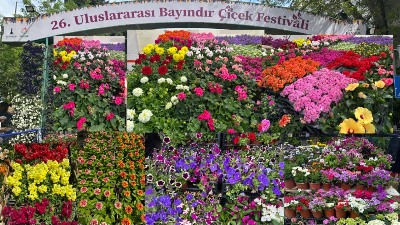 26. Uluslararası Bayındır Çiçek Festivali Part-I #bayındır #çiçek #festival #keşfet #izmir #garden
