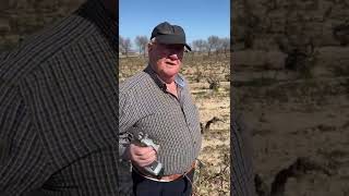 Poda en El Arca con el viticultor de Alcanadre Enrique Martínez Royo