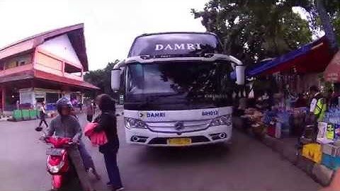 Bus Damri Bandara Soekarno Hatta  dari Terminal Kampung Rambutan