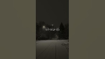 أَلَا إِنَّ نَصْرَ اللَّهِ قَرِيبٌ || تلاوة خاشعة جميلة بصوت ياسر الدوسري ارح سمعك #ياسر_الدوسري