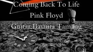 Coming Back To Life || Pink Floyd || Cover ||