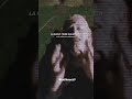 #radiohead #song #sad #90s #musica #nostalgia #song #rock #fyb #clips #playlist #radio