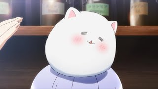 Information Weiss Set Review - Is Order A Rabbit Update