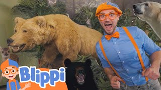blippi learns about snakes bugs and bears a day at the museum educational videos for kids