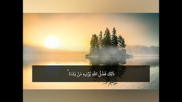 ايات منجيات بصوت القارىء ماهر عرار حالات واتس اب دينية قصيرة قران كريم تلاوة خاشعة