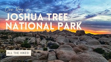 One Day in Joshua Tree National Park