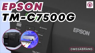 Epson TM-C7500G Industrial High Speed Color Label Printer | OmegaBrand