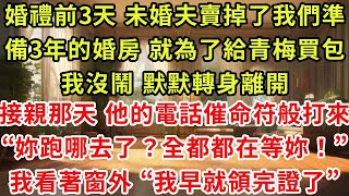 婚禮前3天 未婚夫賣掉了我們準備了3年的婚房 就為了給青梅買包,我沒鬧 默默轉身離開,接親那天 他的電話跟催命符一樣打來“妳跑哪去了?全家老小都在等妳!”我看著窗外 “我早就領完證 回家了”