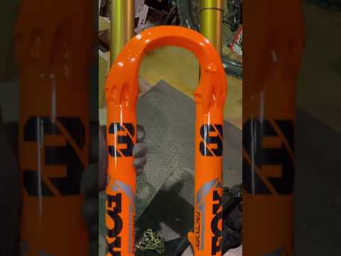 🦊 Fox 38