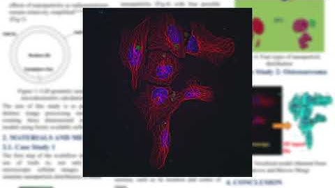 Computational Tools for Automatic Conversion of Microscopy Images into Voxelized Cellular Phantoms