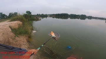Fishing | Câu Đài | Tập 174 | Câu 192 Kg , Cá Chim , Cá Tra Cũng Bay | Nghiện Câu TV
