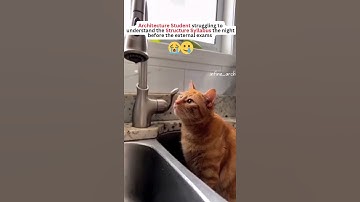 Structural Design Struggle for Architecture students😐😭 I Architecture I Stay Strong 🤧 #architecture