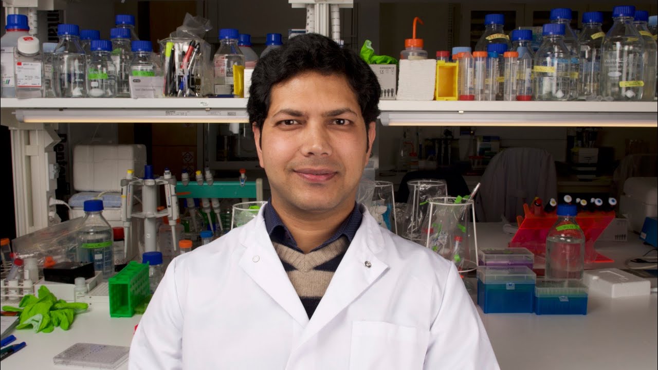 Ny cancerbehandling i ett nötskal