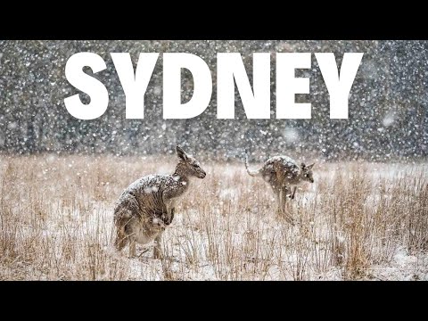 SNOWING IN SYDNEY!!!