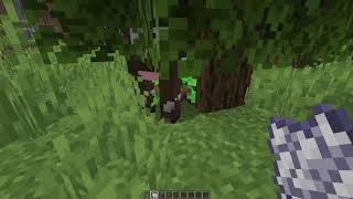 TREE.EXE