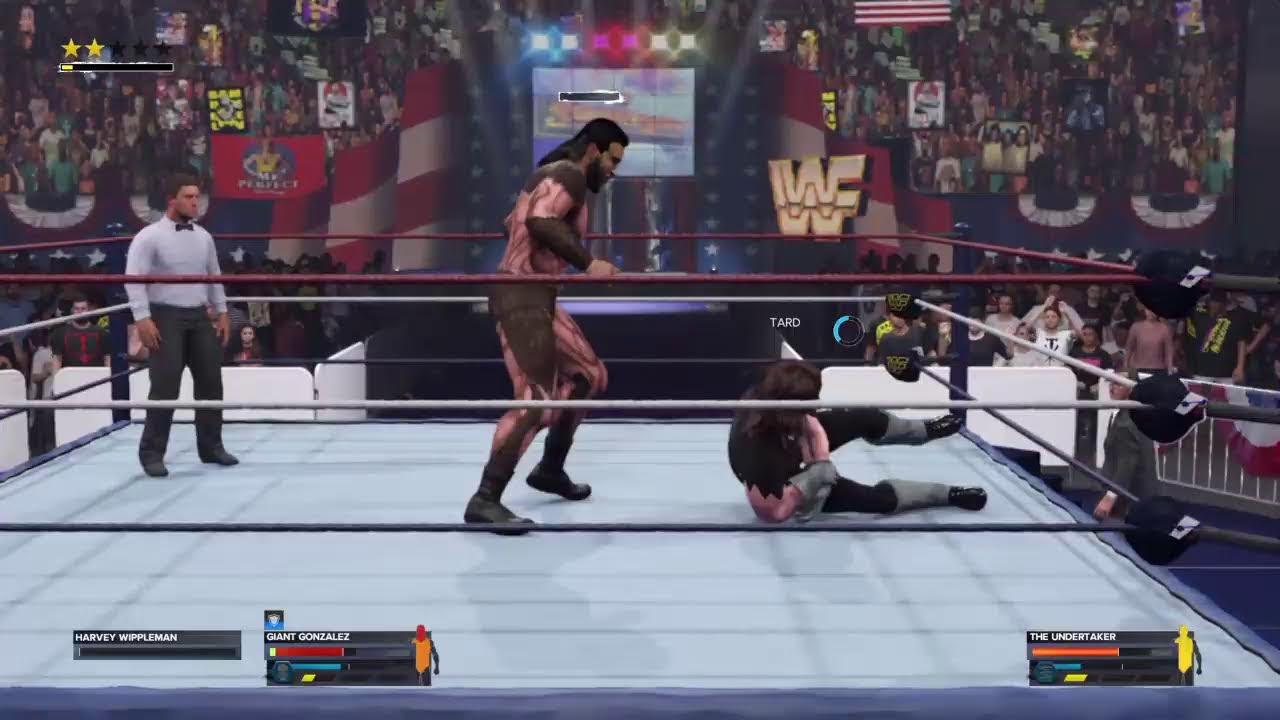 Undertaker vs Giant Gonzalez - rest in peace match - Wwf Summerslam 1993