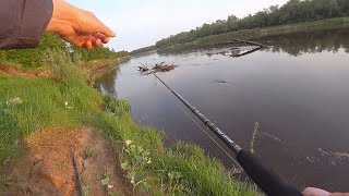 видео: ПОКАЗАЛ ПРОВОДКУ и СРАЗУ ОБЛОВИЛ! Рыбалка на спиннинг! Ловля на дешёвую блесну снова даёт результат! картинка: ПОКАЗАЛ ПРОВОДКУ и СРАЗУ ОБЛОВИЛ! Рыбалка на спиннинг! Ловля на дешёвую блесну снова даёт результат!
