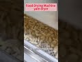 How does a Commercial Food Dryer Work?#fooddryer #commercialmachine #fooddehydrator