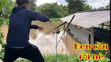 Câu Cá Tra Sông Về Bãi Huyền Thoại Quăng Câu Xuống Là Pen Dính Liền | Fishing Miền Tây