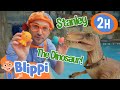 Blippi&#39;s Dinosaur Celebration with Stanley! | Animal Cartoons | Funny Cartoons | Learn about Animals