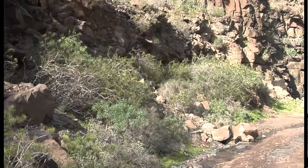 Rincones de Lanzarote-Valle del Palomo