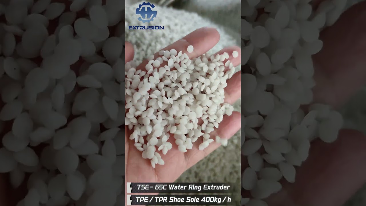 TSE-65C Water Ring Extruder