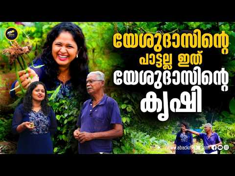 ഇവിടെ എന്തും വിളയും | Yesudas| Agriculture & Farm Life | Kerala | Organic Farming | Aback Media