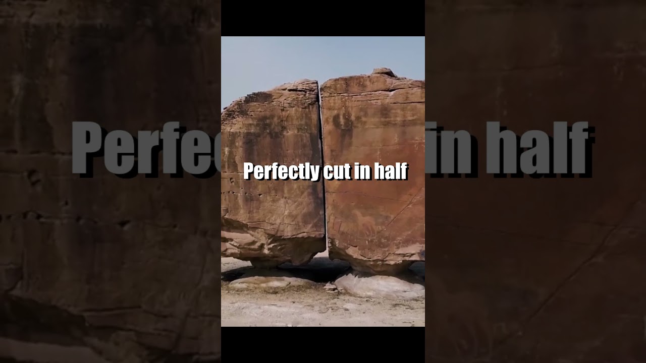 Informative dynamic video