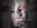 والشوق يهمي قبلا أجميل نشيد للحالات عن الجهاد والشوق يهمي قبلا أجميل نشيد للحالات عن الجهاد