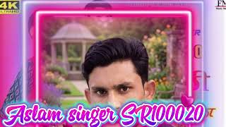 Aslam Singer Sr100020sk Sahil Singer Mewati