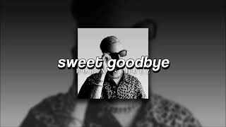 Robin Schulz, Sweet Goodbye | sped up |