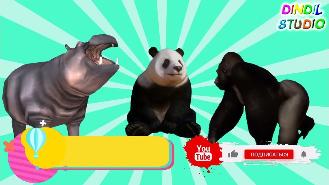 Жануарлар немен қоректенеді? Что едят животные? What do animals eat