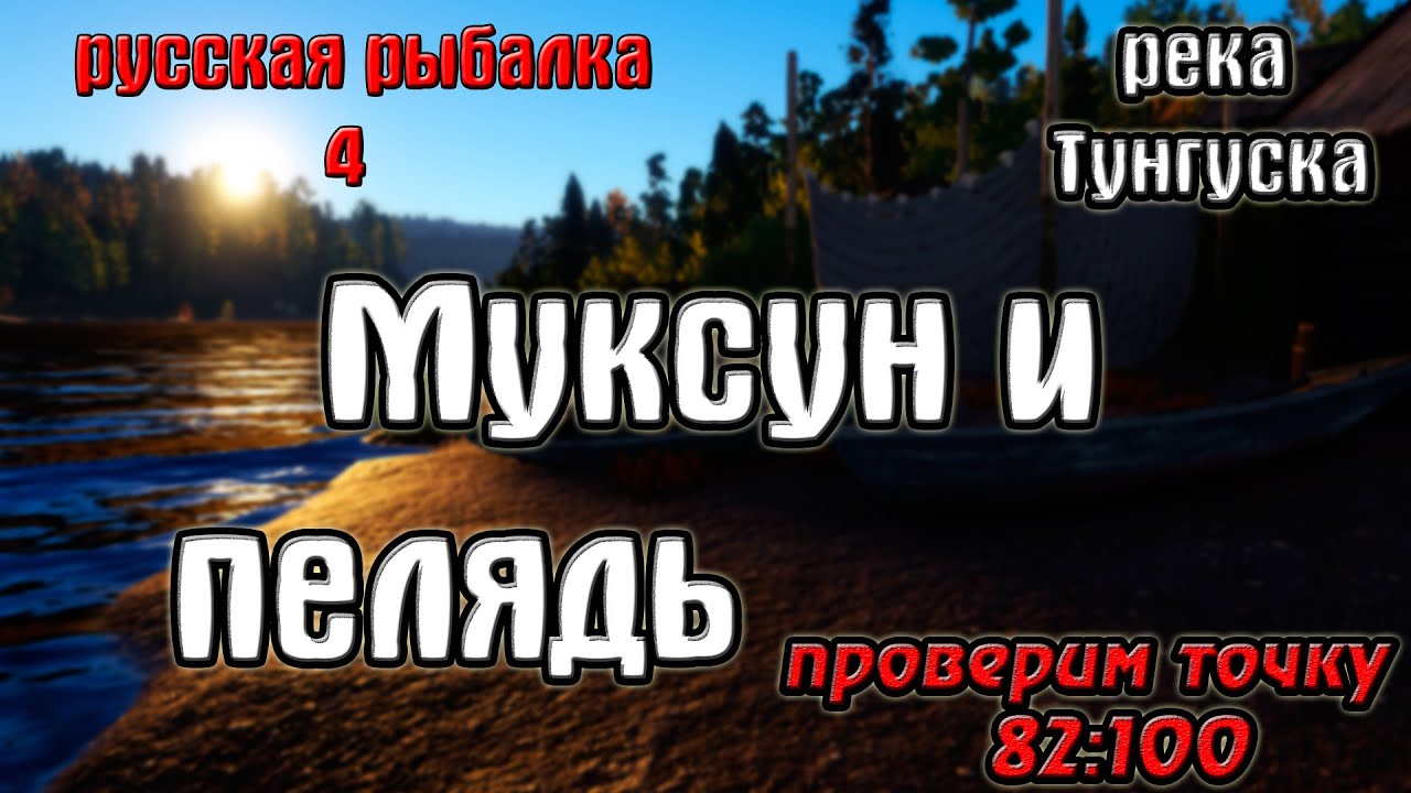 Русская рыбалка 4(рр4/rf4) - река Тунгуска. Муксун и пелядь.