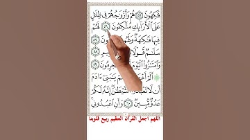 سورة يس من الاية 55الى الاية 61 #اكسبلور #quranmemorisation #islamictext #holyquran