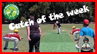 Catch of the week | Amazing catch | LMS Cricket T20 | WA Perth screenshot 5