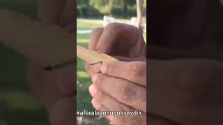 Küçük Şeylerden Mutlu Olmak Uğur Aslan Ğuraslan Üzikali