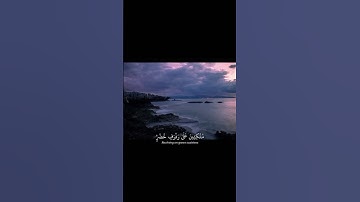 فَبِأَيِّ آلاءِ رَبِّكُمَا تُكَذِّبَانِ||تلاوة خاشعة بصوت الشيخ ياسر الدوسري 🌿💗