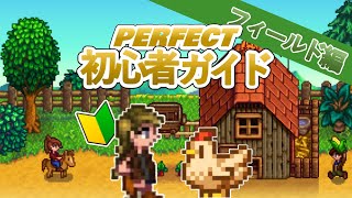 スタバレ初心者が初めにやるべきことはこれだ！初心者ガイドフィールド編【Stardew Valley /スターデューバレー】