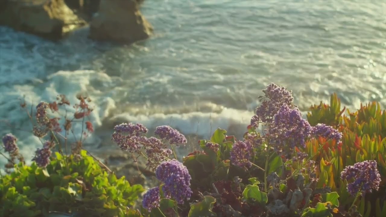 Unis Abdullaev - Flowers bloom in your soul (Guitar version)