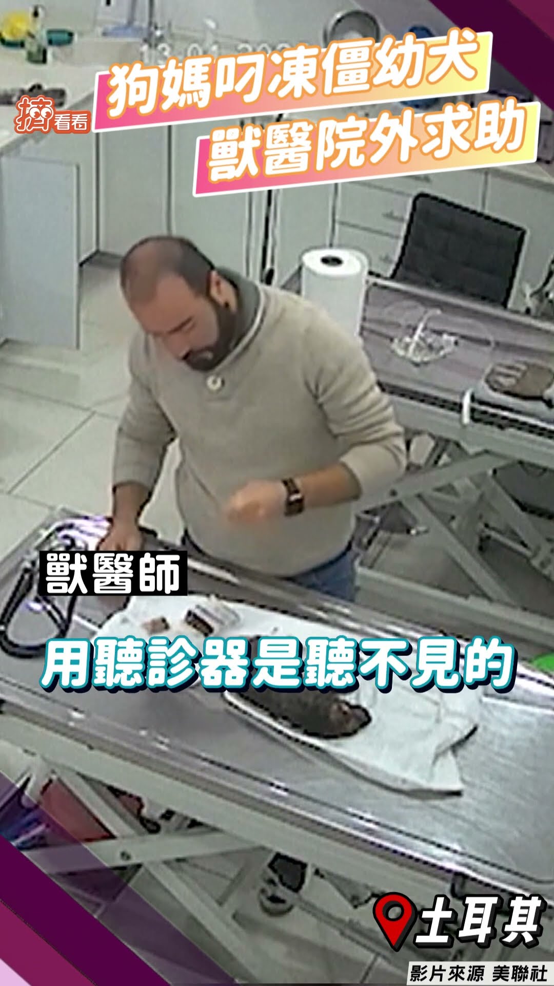 狗媽媽叼「凍僵幼犬」蹲診所外求助 土耳其獸醫聽「薄弱心跳」出手搶救｜TVBS新聞@TVBSNEWS01