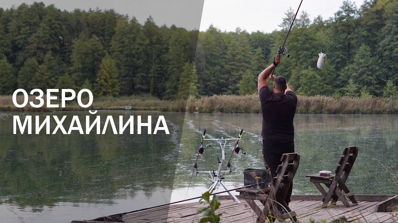 Ловля коропа на сливу