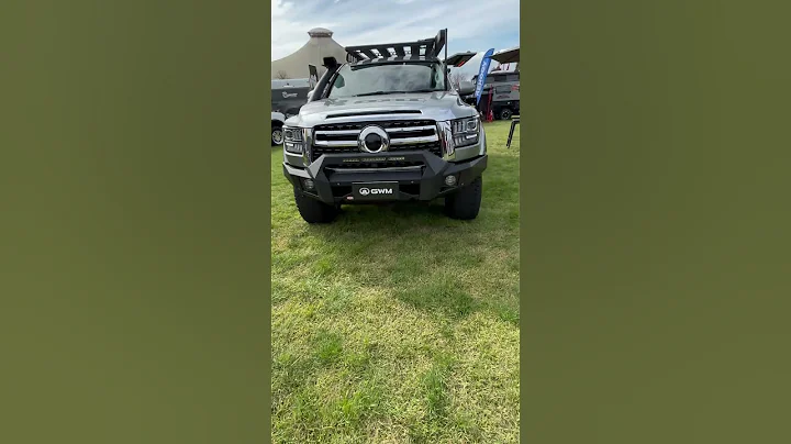 Hoopless bull bar on the GWM Cannon Alpha. Autospec 4x4 GVM upgrade