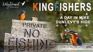 Photographing Kingfishers  Mike Dunlevy Hide