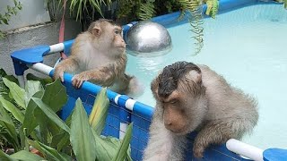 Shaki Jk In The Pools