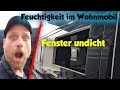 WASSEREINBRUCH beim WOHNMOBIL KASTENWAGEN | Undichtes Fenster bei meinem CLEVER RUNNER