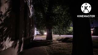 Night time Nature Sounds - A Village #Shorts by SR music screenshot 2