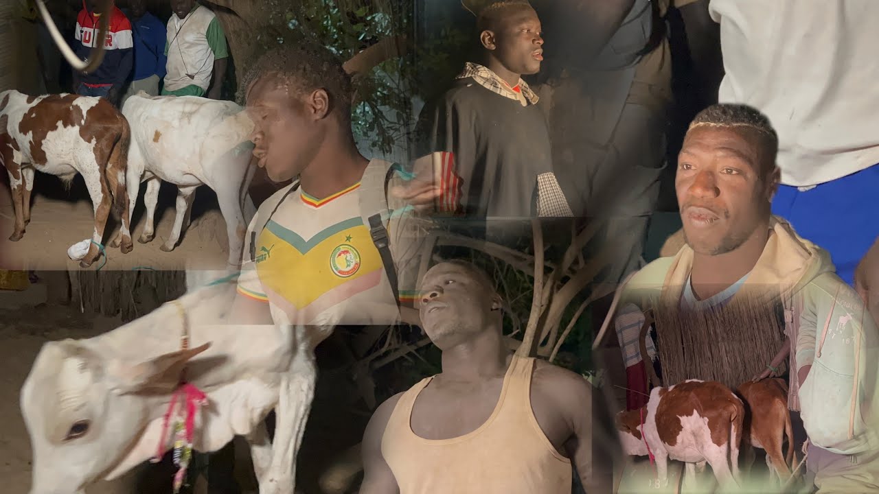 PARTAGES DES BŒUFS LAMBE DIOUROUP NDOUNDOUR LE 15 DECEMBRE 2025 BATEAU 2 USINE TECKNIQUE OUSS DIAREK