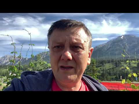 Почему нельзя выращивать фрукты и ягоды , собрали первый урожай . 22 июня 2024 г.